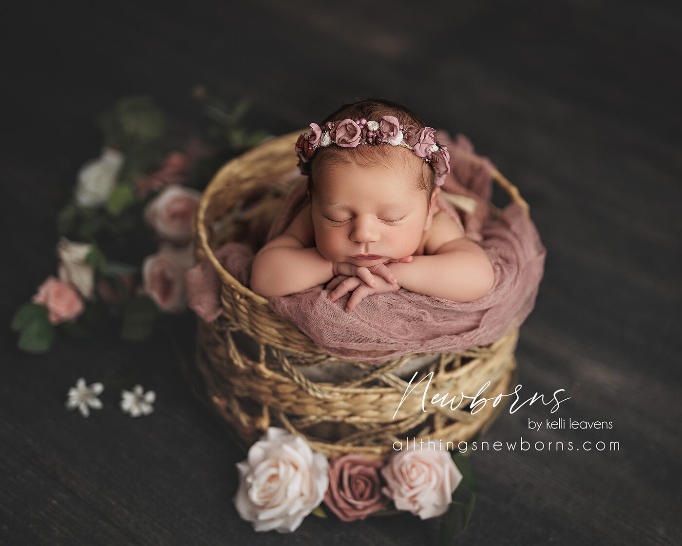 Posed newborn girl portrait at All Things Newborns studio in Princeton Indiana